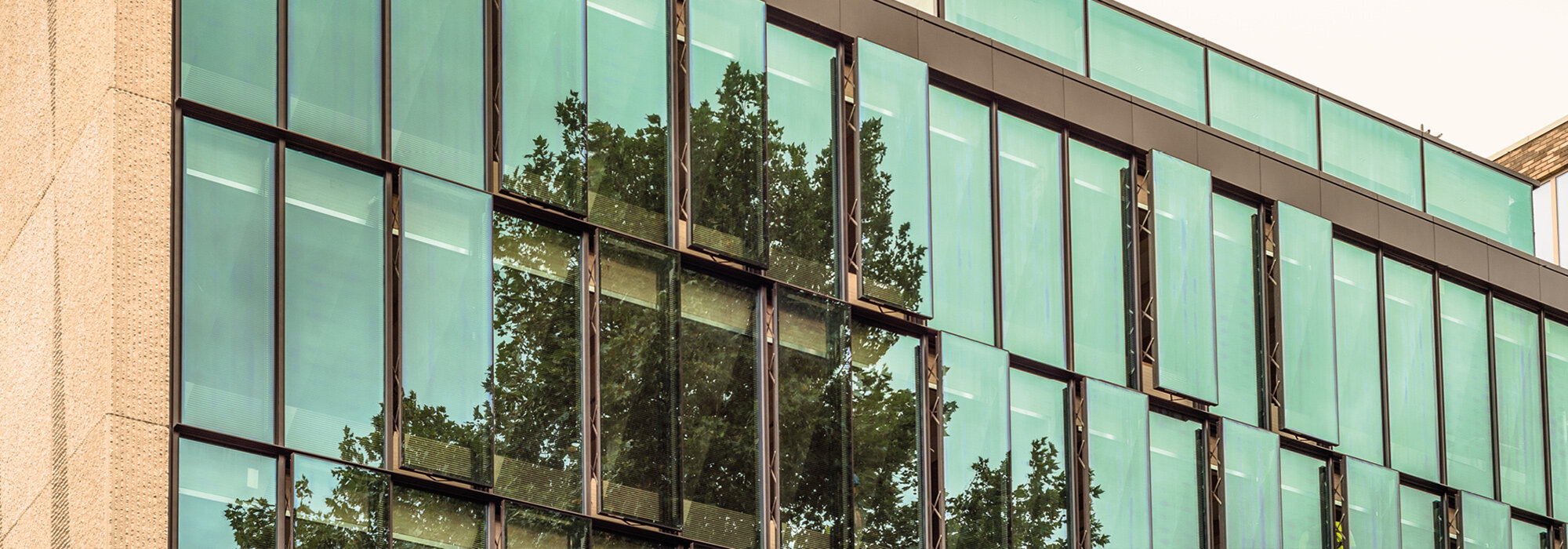 Moderne Glasfassade mit Sonnenschutzglas Glasfassade mit grünem Sonnenschutzglas
